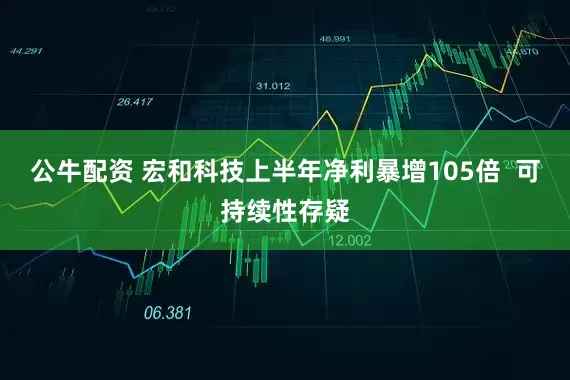 公牛配资 宏和科技上半年净利暴增105倍  可持续性存疑