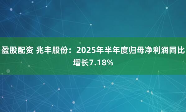 盈股配资 兆丰股份：2025年半年度归母净利润同比增长7.18%
