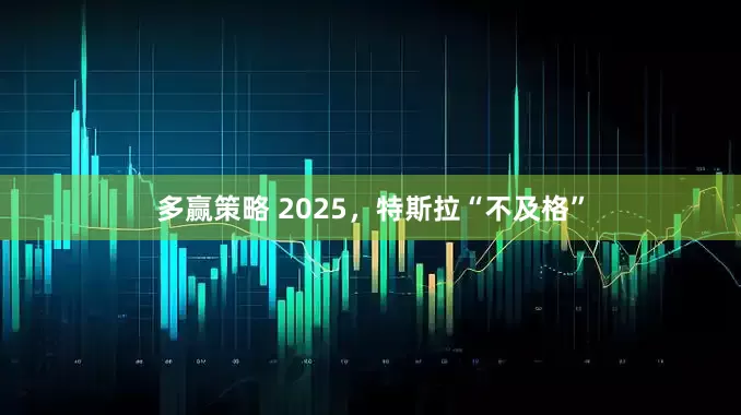 多赢策略 2025，特斯拉“不及格”